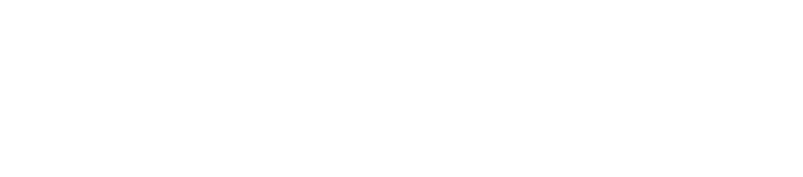 Bouwinvest